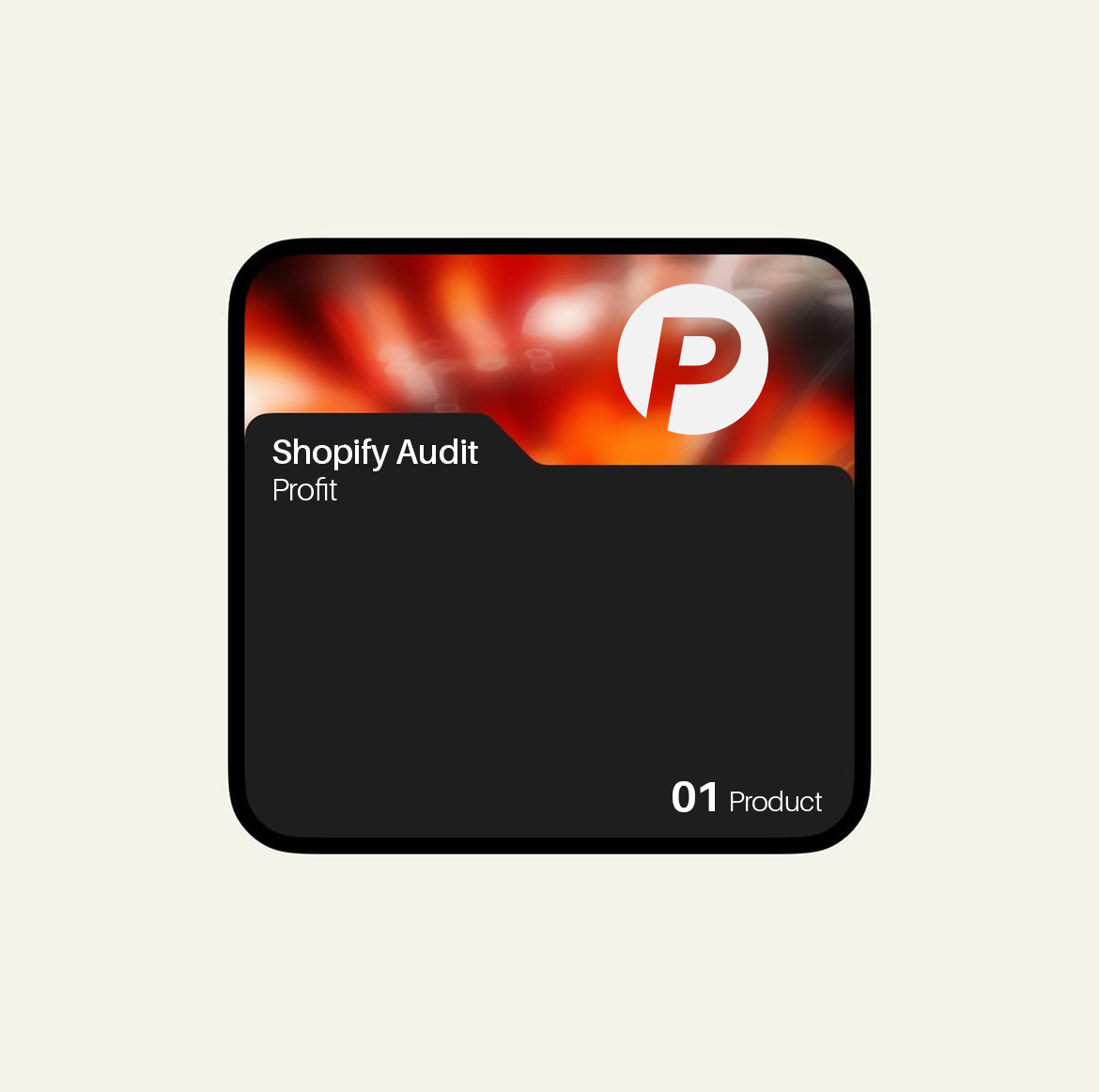 Shopify Profit Audit