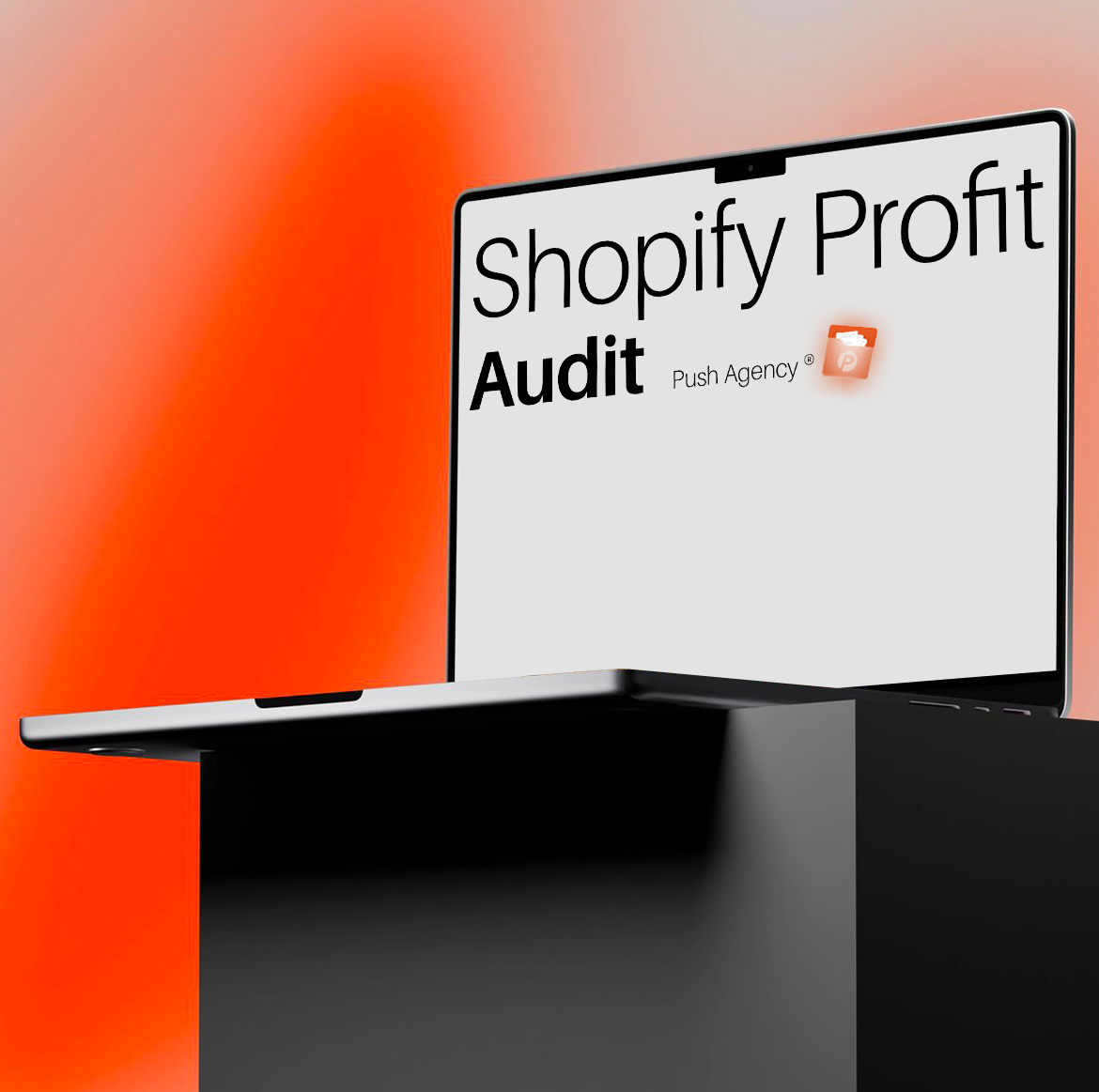 Shopify Profit Audit